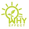 The Why Effect photo