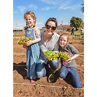 Bertrams Inner City Farm - A Bambanani Food and Herb Cooperative Project image