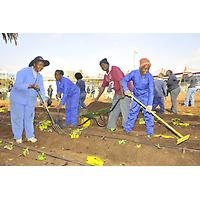 Bertrams Inner City Farm - A Bambanani Food and Herb Cooperative Project image