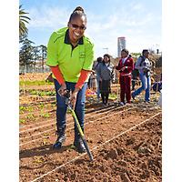 Bertrams Inner City Farm - A Bambanani Food and Herb Cooperative Project image