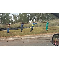 Walk Safe Jozi image