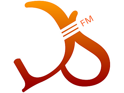 DS_Logo_Final_Big.jpg - Diepsloot Radio image