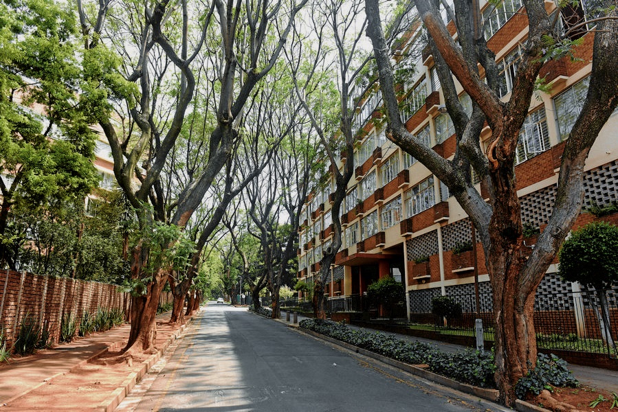 _Killarney Apartment 16.jpg