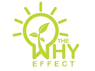 Social media logo.jpg - The Why Effect image